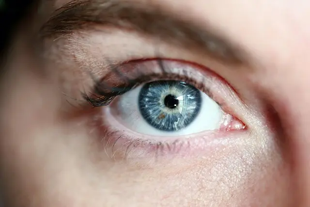 Les meilleures astuces pour créer un regard captivant avec du maquillage hybride