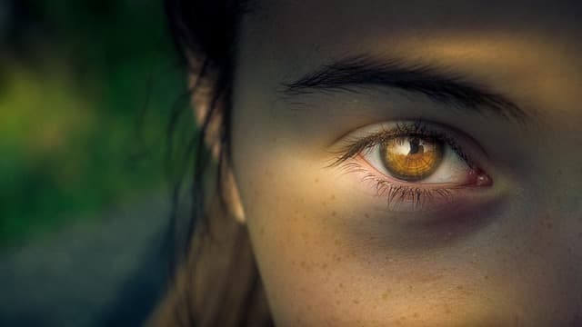 Les Secrets du Maquillage Hybride pour un Regard Éblouissant